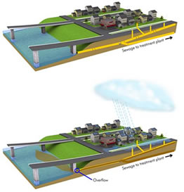 View Animation