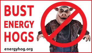 Bust Energy Hogs