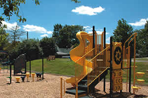 Neighborhood Playground
